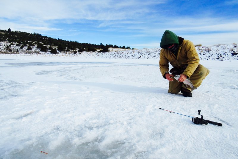 Learn about ice fishing live